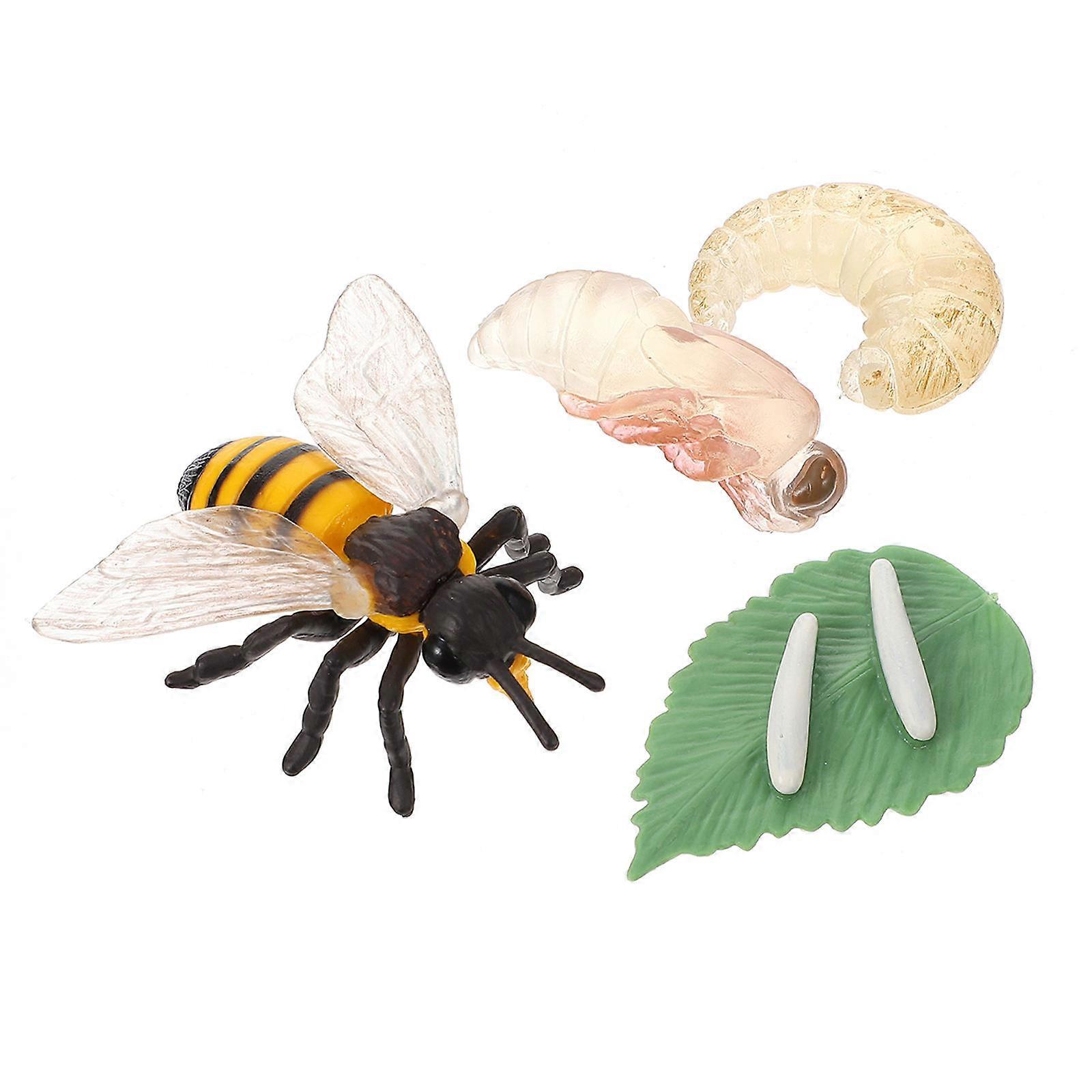 Simulation Bee Model Plastic Bee Growth Educational Display Model for Display 1Set
