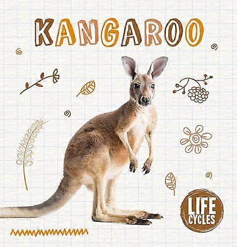 Kangoeroe (levenscyclus)