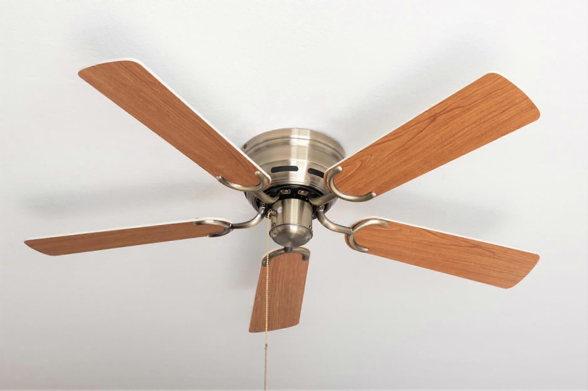 Ceiling fan Kisa Deluxe AB White / Maple