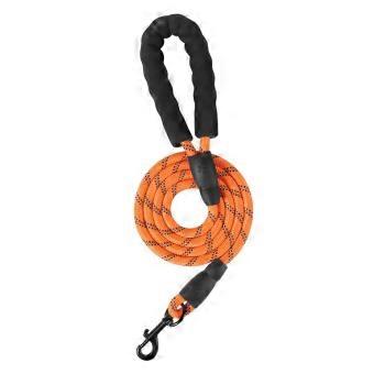 Robuste, reflektierende Nylon-Hundeleine.