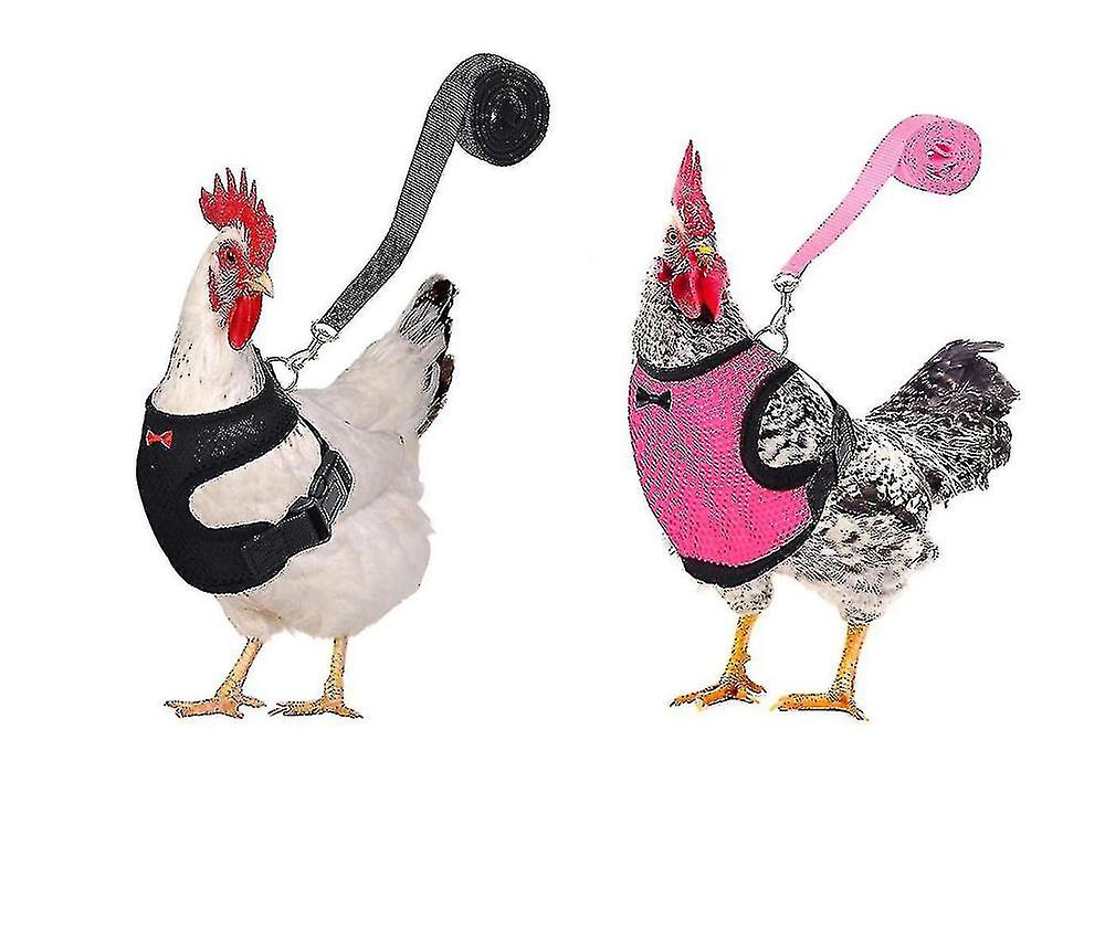 2pcs Chicken Harness And Leash, Modified Adjustable Breathable Harness Specially Designed For Chicken Duck Goose Training And Walking, Comfortable Si