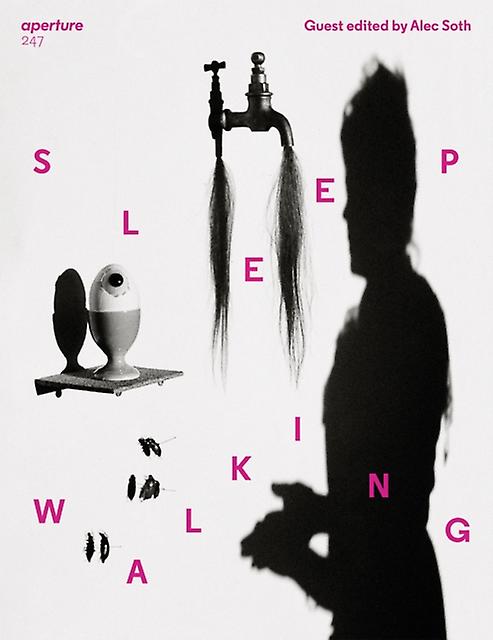 Sleepwalking Paperback