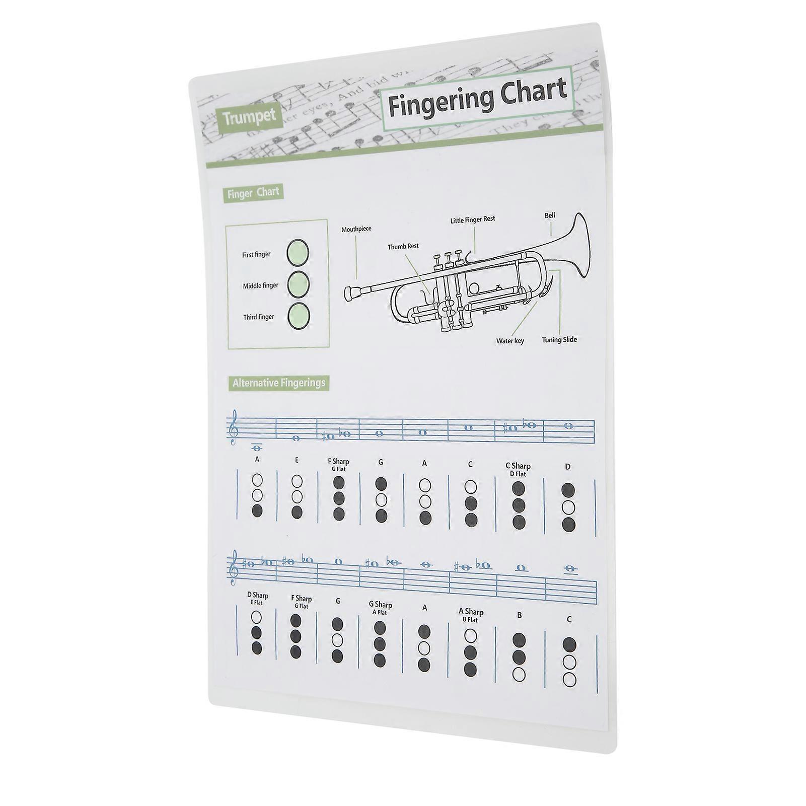 Trumpet Chord Chart Fingering Note Music Instrument Reference Guide for Home ClassSmall 