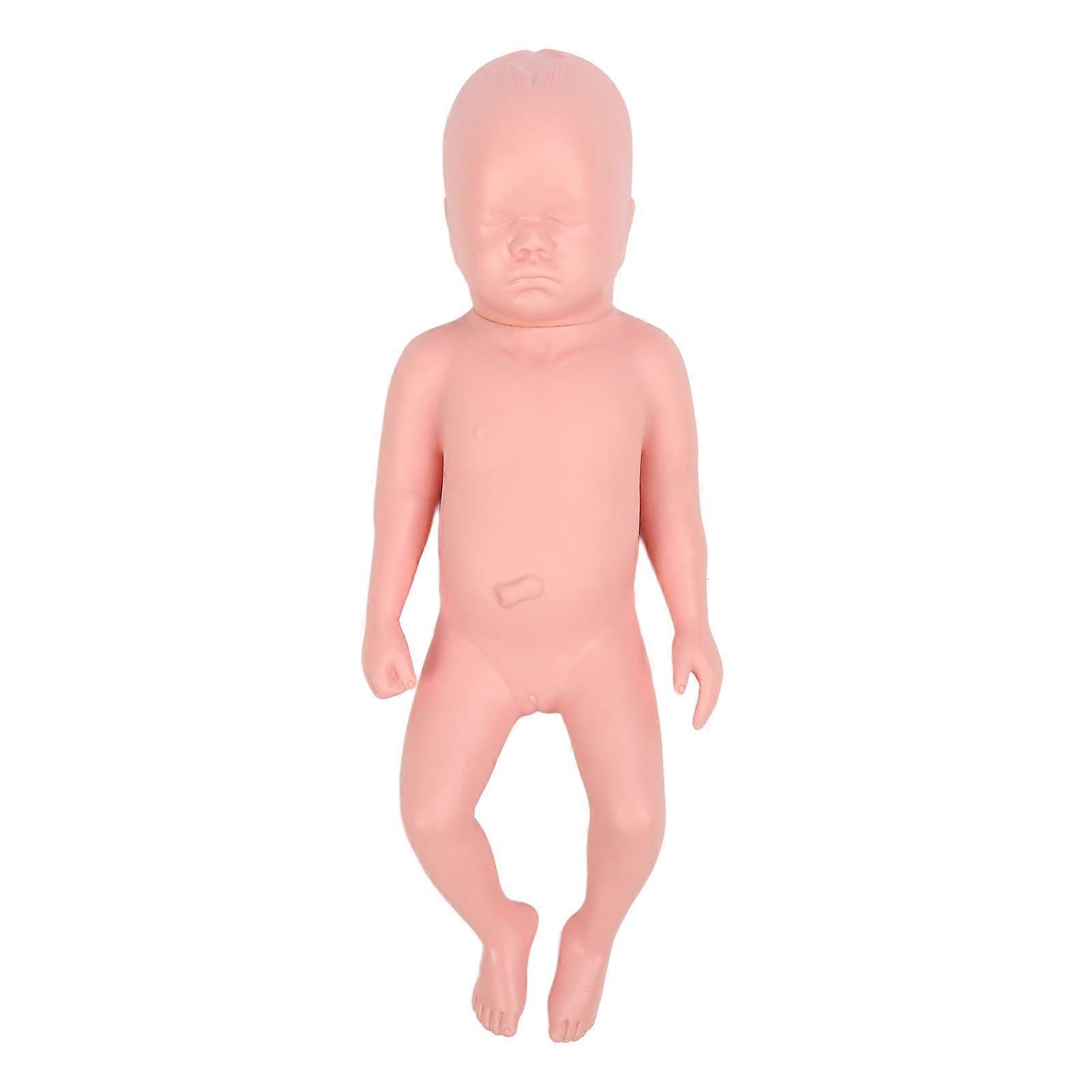 Newborn Model Plastic Educational High Simulation Full Term Baby Simulator Model For Teaching