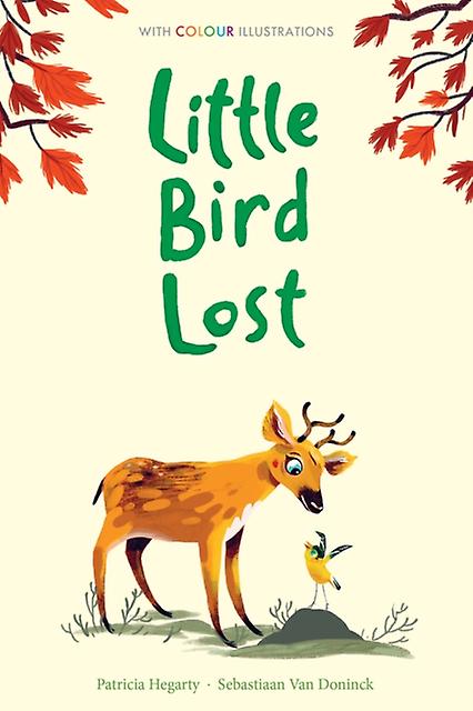 Little Bird Lost by Patricia Hegarty Hardback Book
