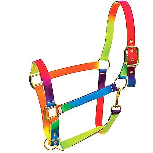 Радуга рома Headcollar