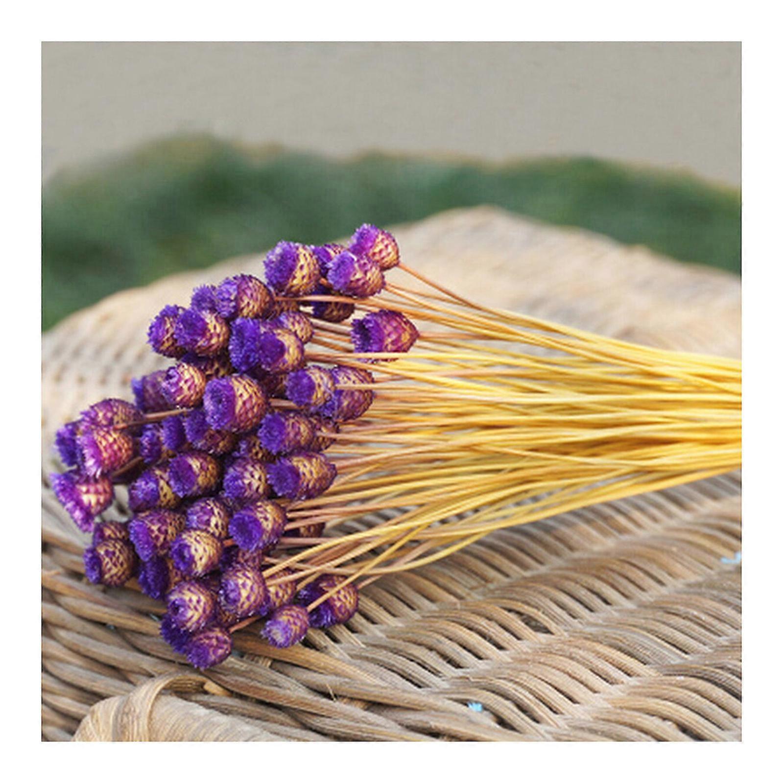 Flowers 50 Stems Dried Flowers for Arrangements Bundle Home Decor Photo Props Handmade Air-drying