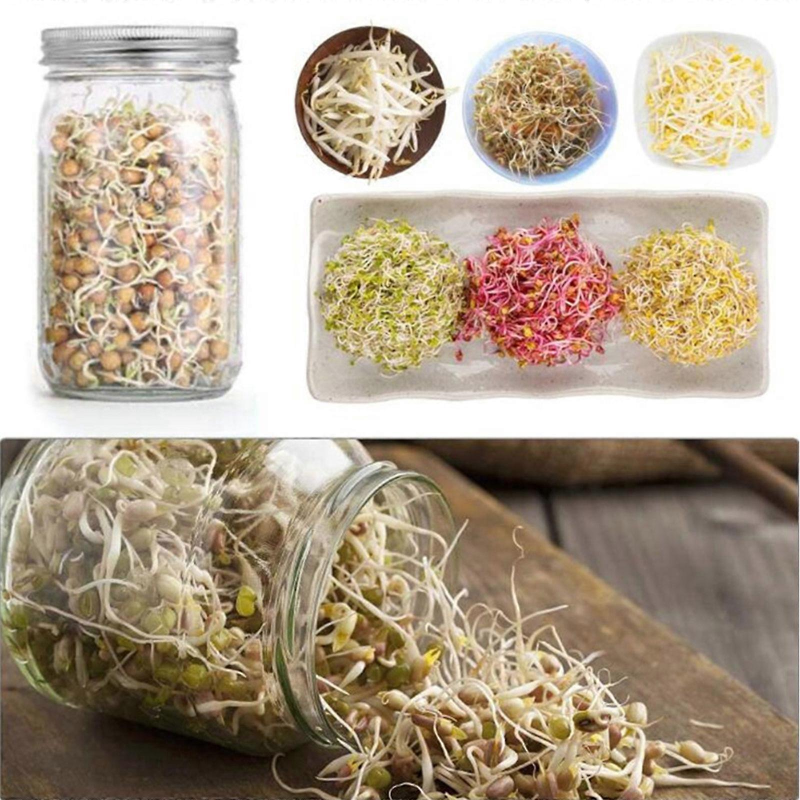 Seed Sprouting Mason Jar Kit with Screen Lids - Including 2 Wide Mouth Mason Jar
