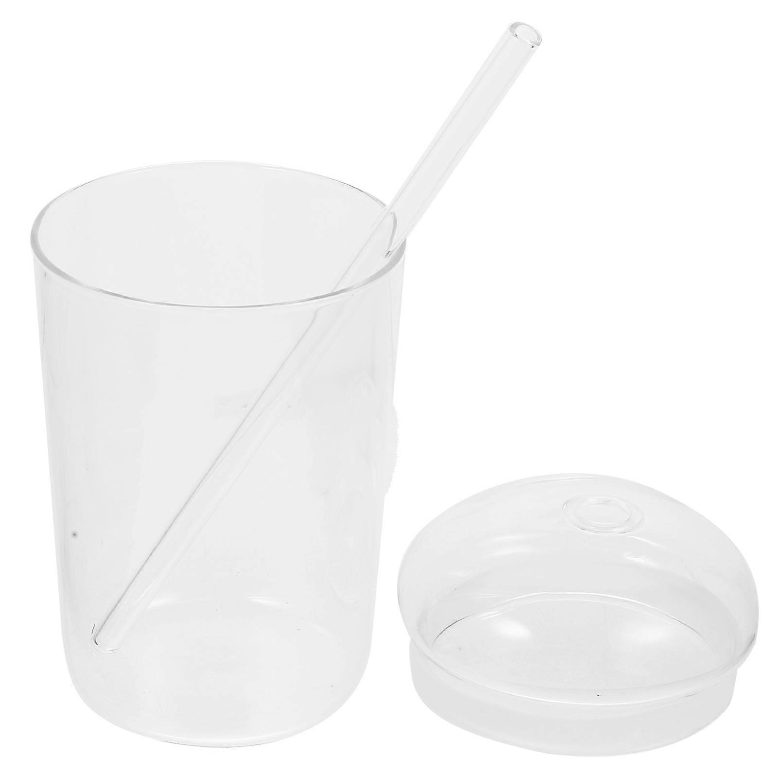 Straw Drinking Cup Transparent Borosilicate Glass With Lid For Colleagues 1 Set