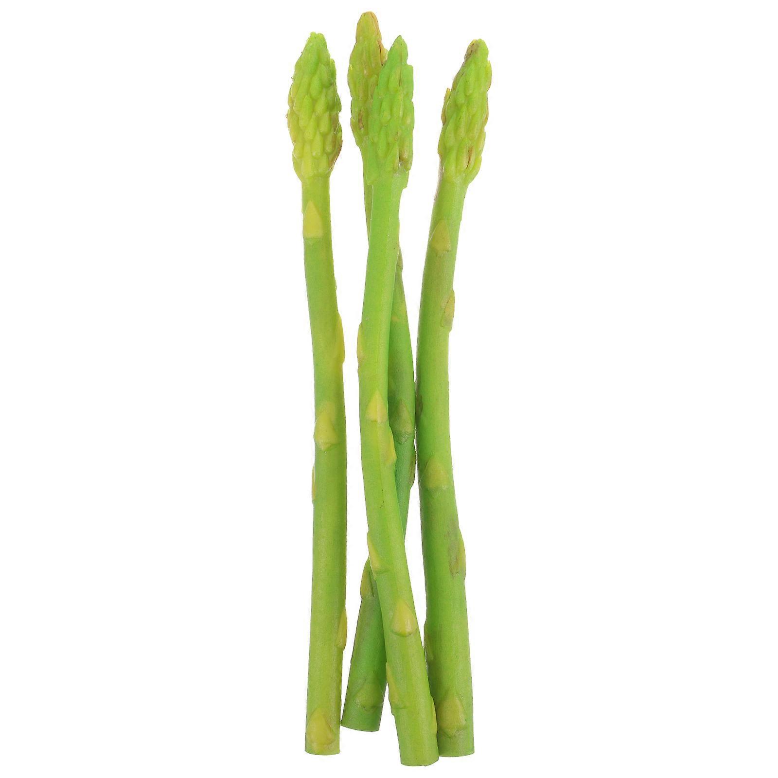 Artificial Vegetable Crafts 4Pcs Lifelike Photo Props Designed For Photographers And Artists In Green Color From PVC Material