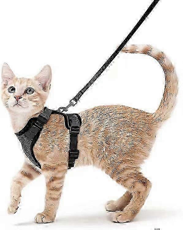Escape Proof Soft Adjustable Cat Harness with Reflective Strips, Easy Control, Pink
