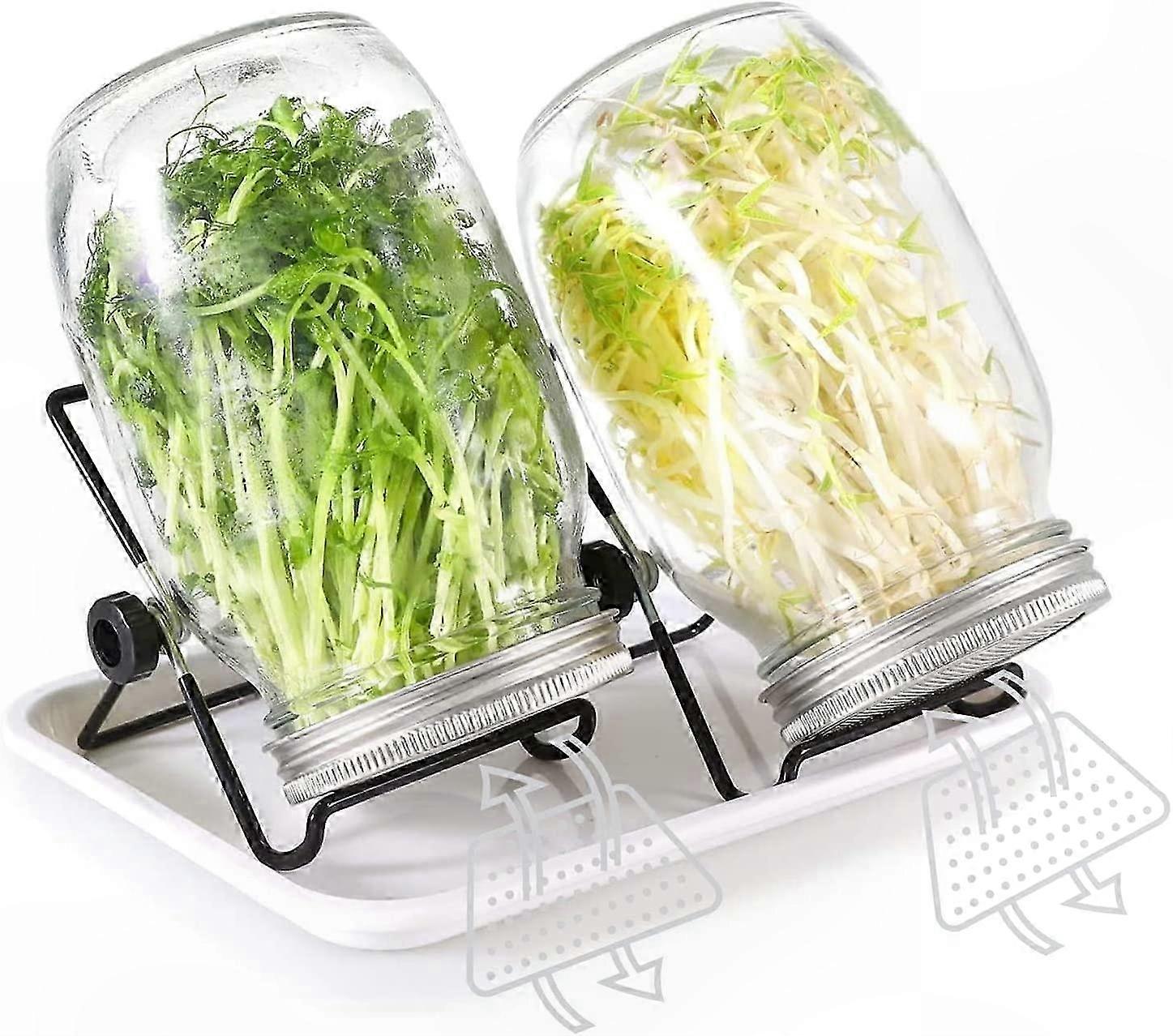 2-Pack 950ml Glass Sprouter with Stainless Steel Lid, Stand, and Tray for Growing Beans, Broccoli, and Seeds at Home