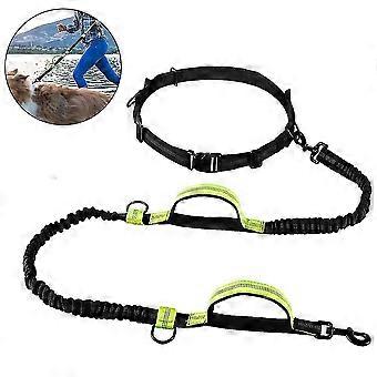 Laisse pour chien avec ceinture réglable pour la course