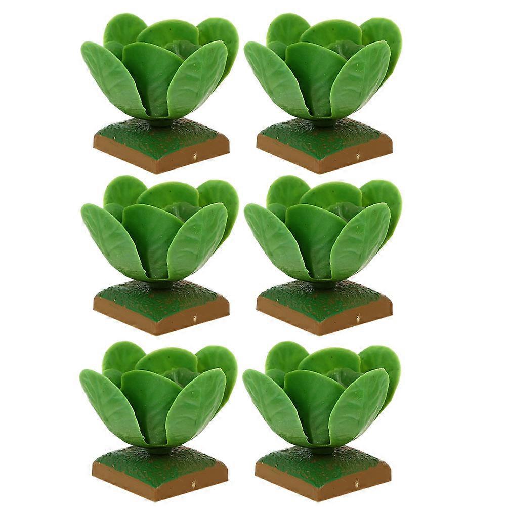 Educational Cabbage Simulation Playthings For Kids Gift Giving 12 Pcs Decor With 6.5X5.5X5.5CM Size
