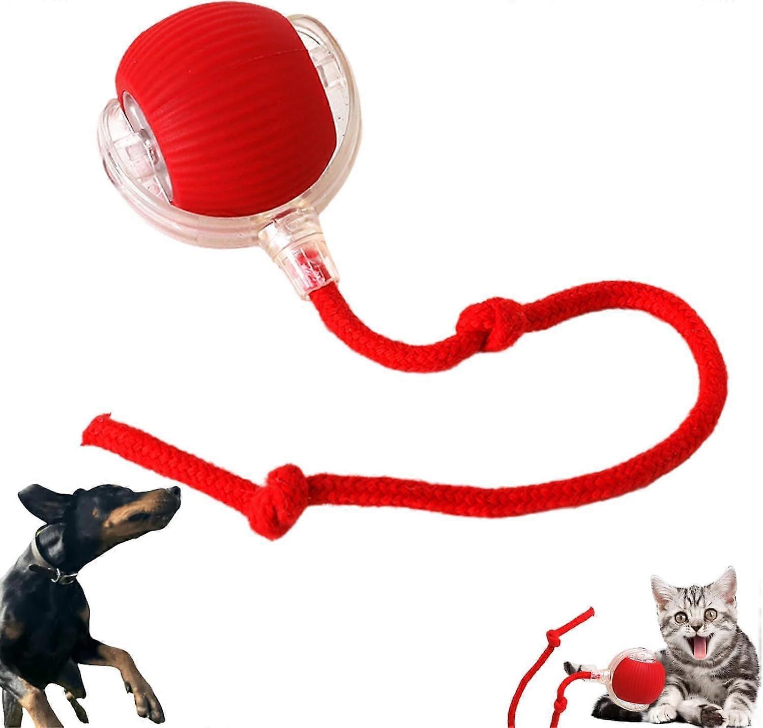 Interactive Cat Toy for Indoor Cats, Smart Automatic Rolling Ball with 3 Modes and USB Charging (Red)