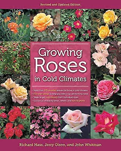Growing Roses in Cold Climates