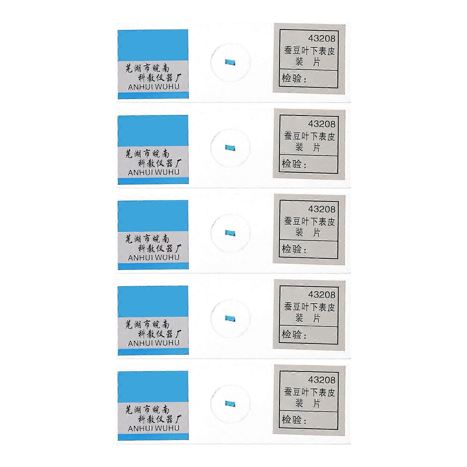 Prepared Microscope Slide for Teaching 5Pcs Broad Epidermis Coverslips