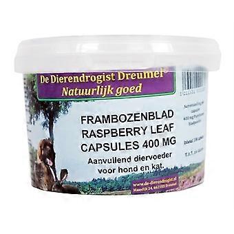 Raspberry Leaf Capsules 400mg 100 Pieces Animal Remedy