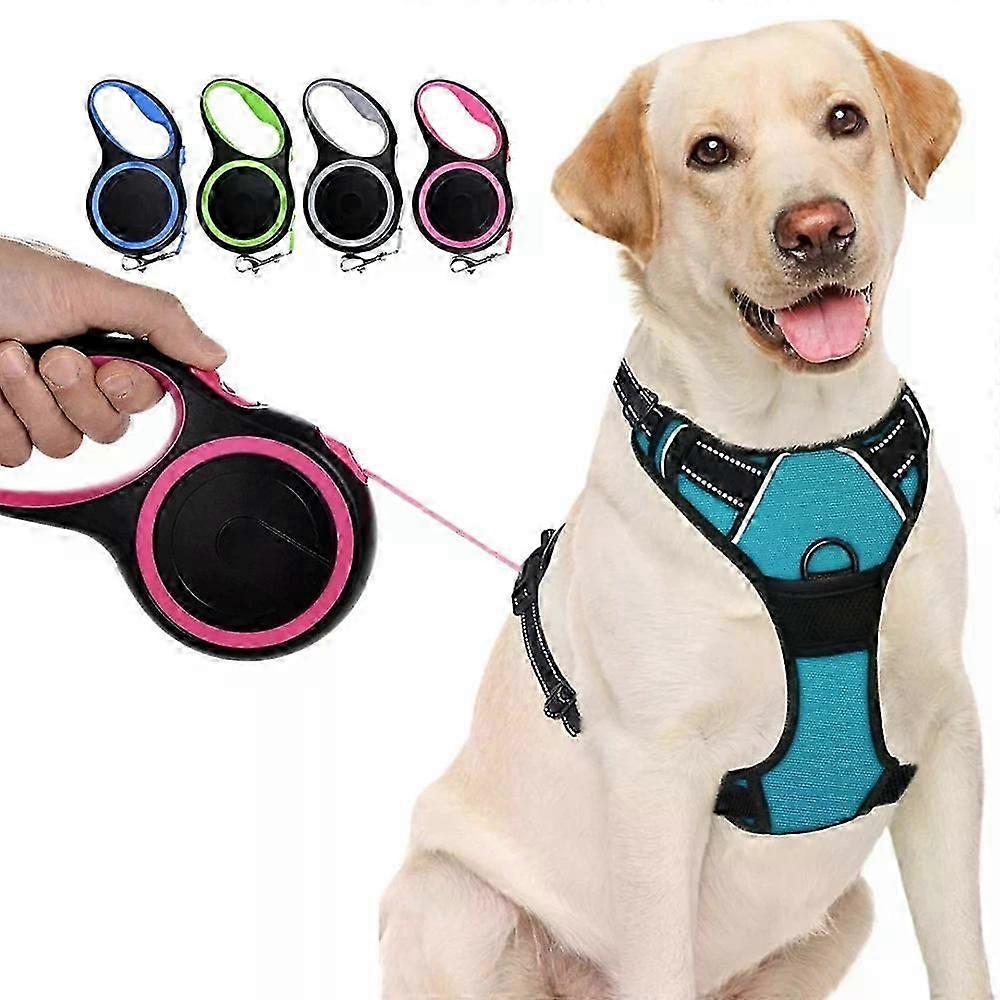 Retractable Dog Lead Training Walking Leash 11.5FT Long Extendable Max