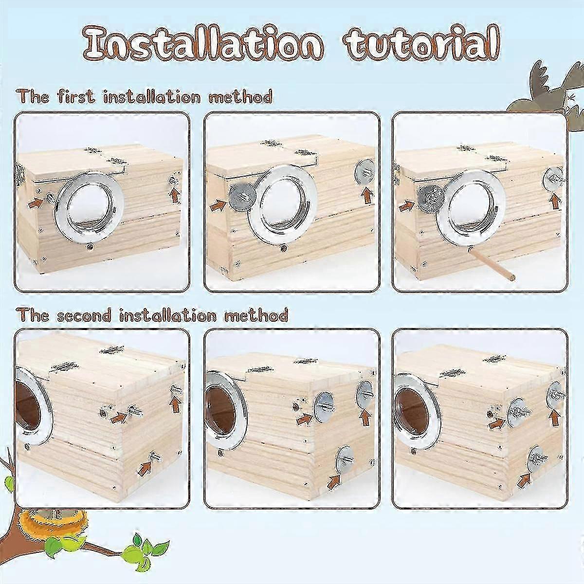 Transparent parakeet house for breeding and nesting