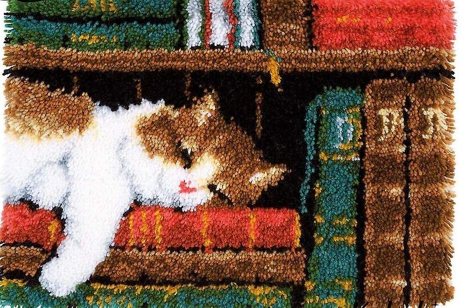 Sleeping Cat Rug Latch Hooking Kit