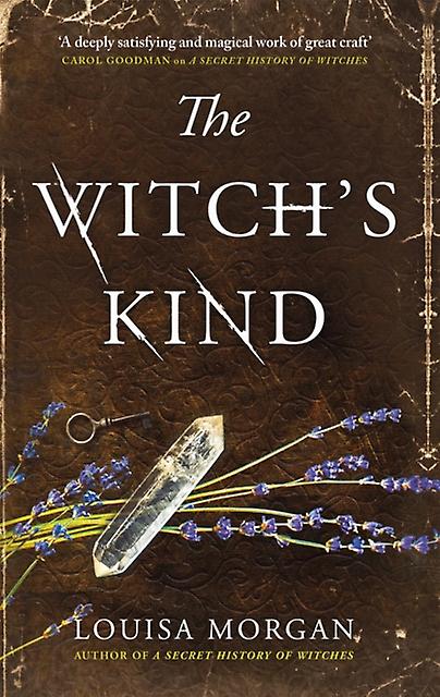 Witch's Kind - Louisa Morgan