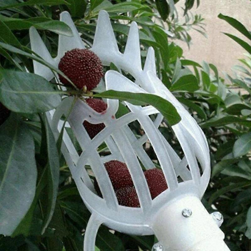 White Fruit Harvesting Tool, Plastic Without Harvesting Stem, Fruit Picking Tool(20*9CM