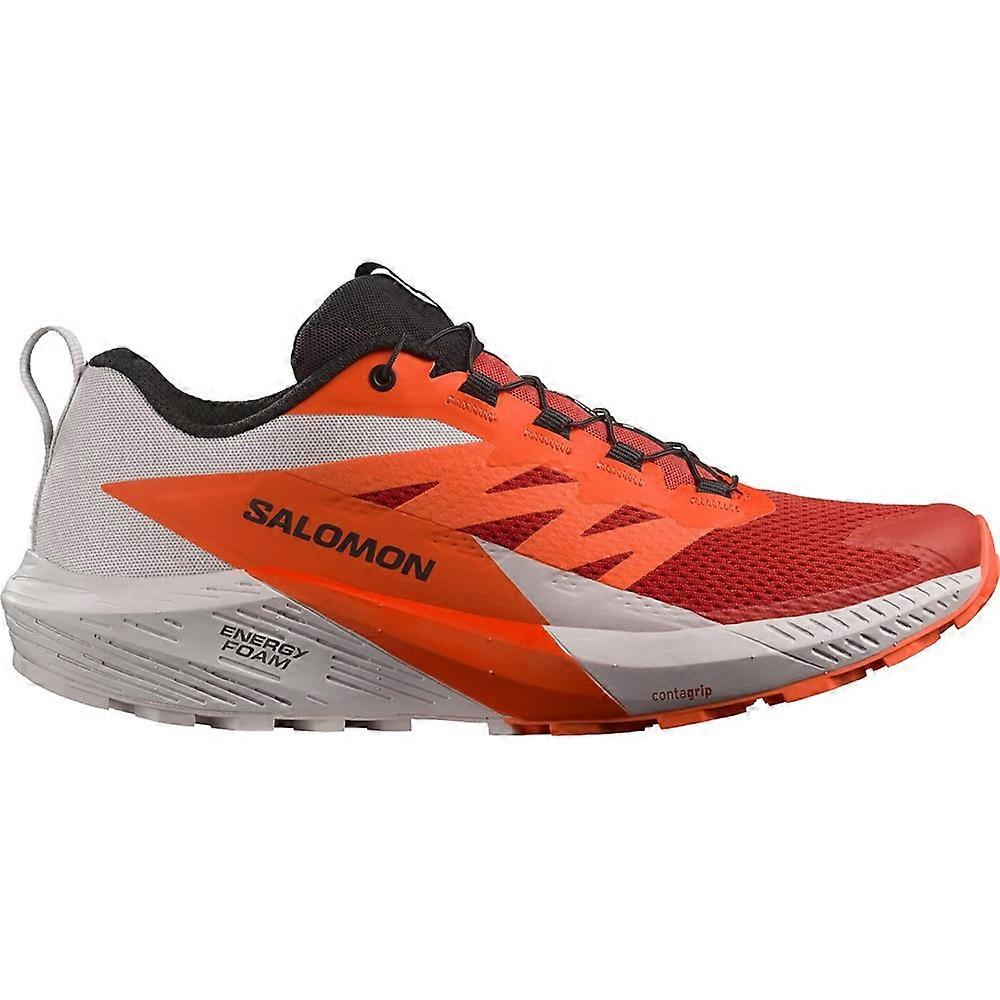 Salomon Sense Ride 5 L47046200 running all year men
