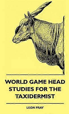 World Game Head studier för konservatorn