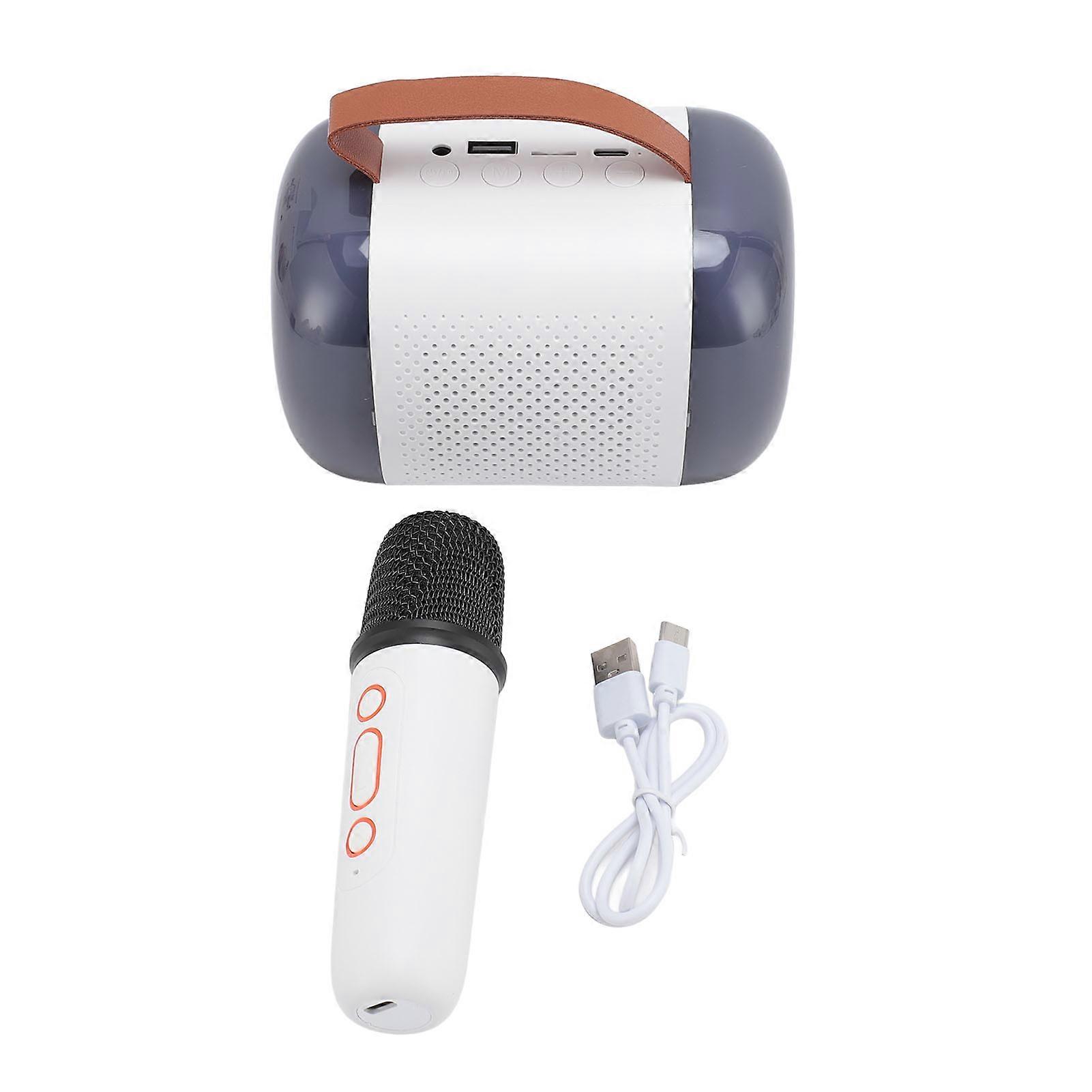 Portable Mini Karaoke Machine with Wireless Mic, RGB Lights, Bluetooth Speaker Set