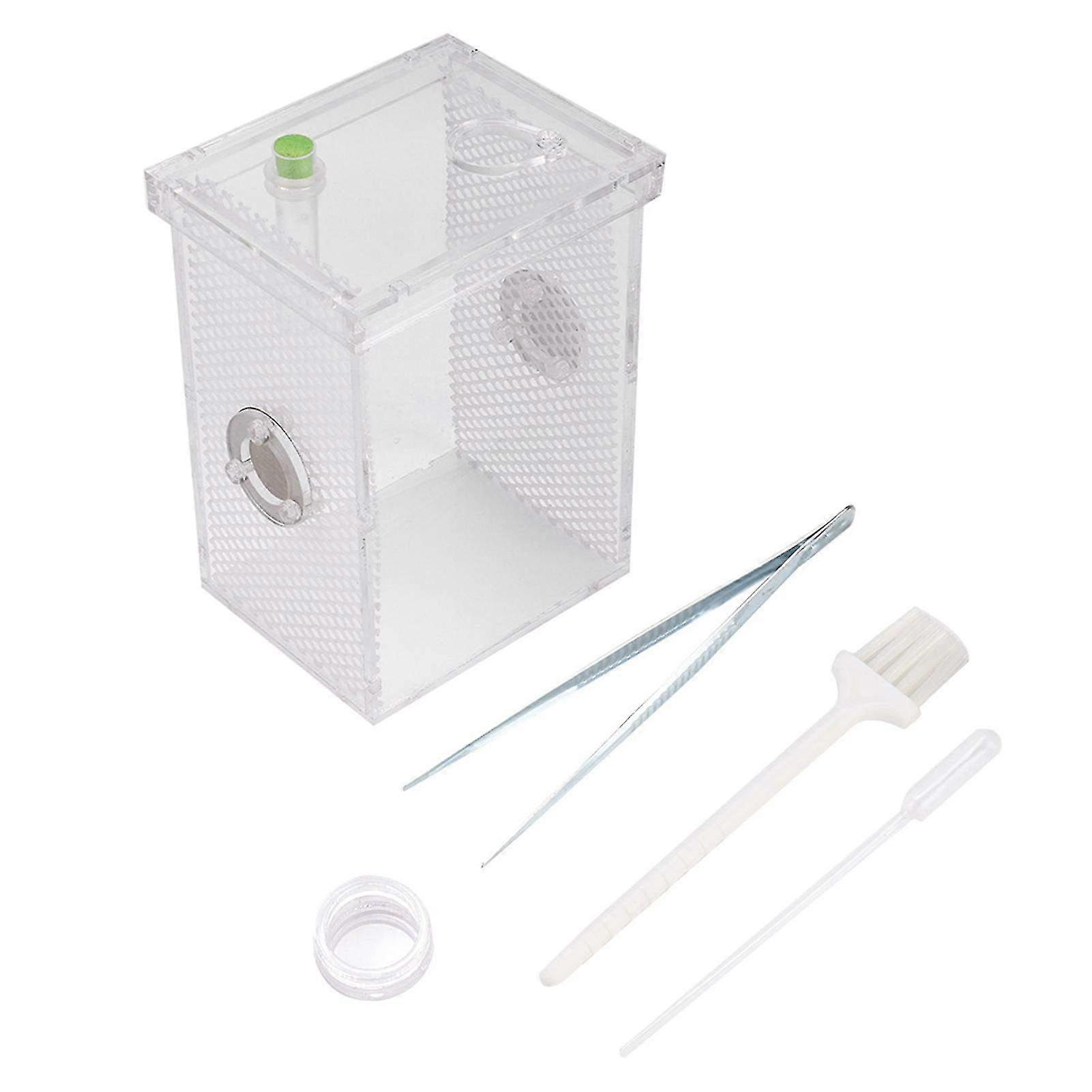 Acrylic Transparent Wet Reptile & Insect Breeding Box Terrarium (Large) - Perfect Feeder Tank for Turtles & Small Pets
