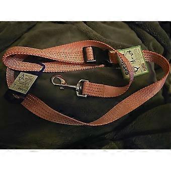 , Go Safely Dog Lead, Pink, Large