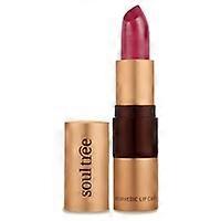 Rasberry Crush Lipstick 1 unit