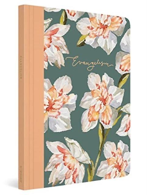 Esv Prayer Journal by Erika Allen Paperback Book