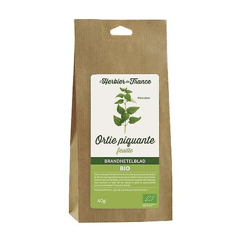 Spiny Nettle Leaves 40 g