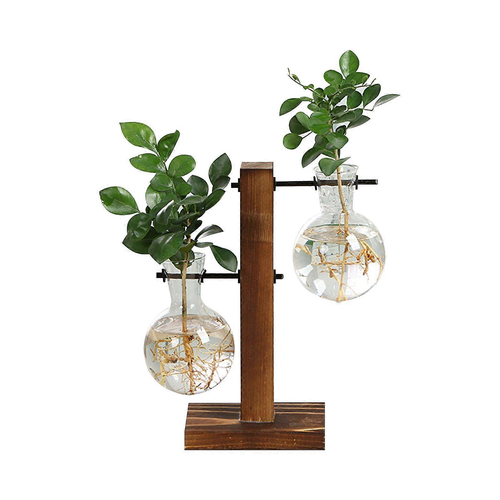Hydroponisk transparent glasvasplanter Träram Blomvas Hem