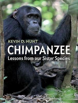 Chimpanzee