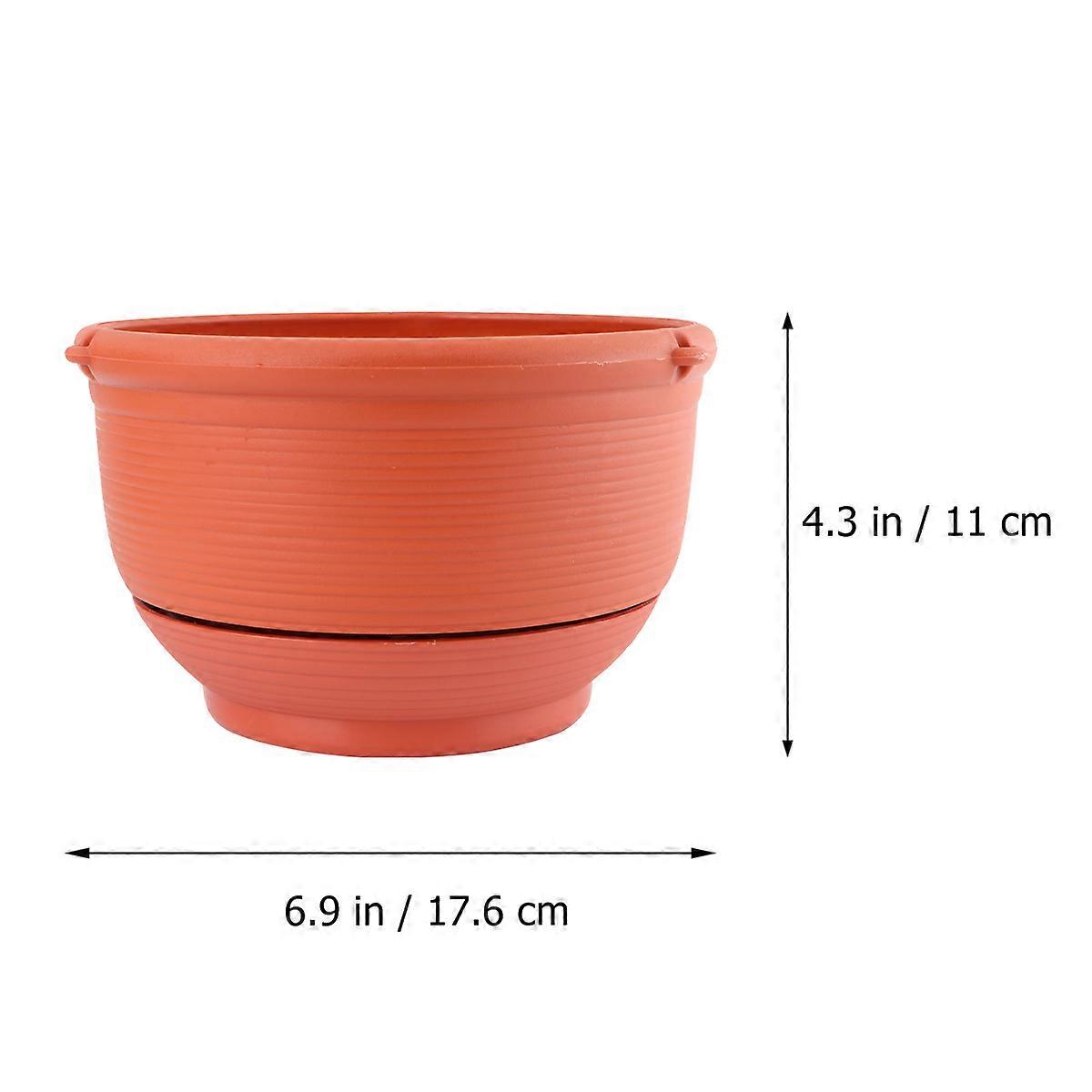 Wall Mount Hanging Flowerpot for Chlorophytum Plant Care 3Pcs