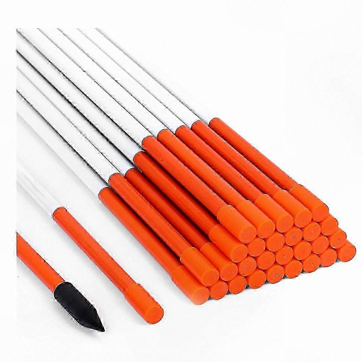 High-Visibility Reflective Markers for Driveways, Parking & Pathways (30 Pack)