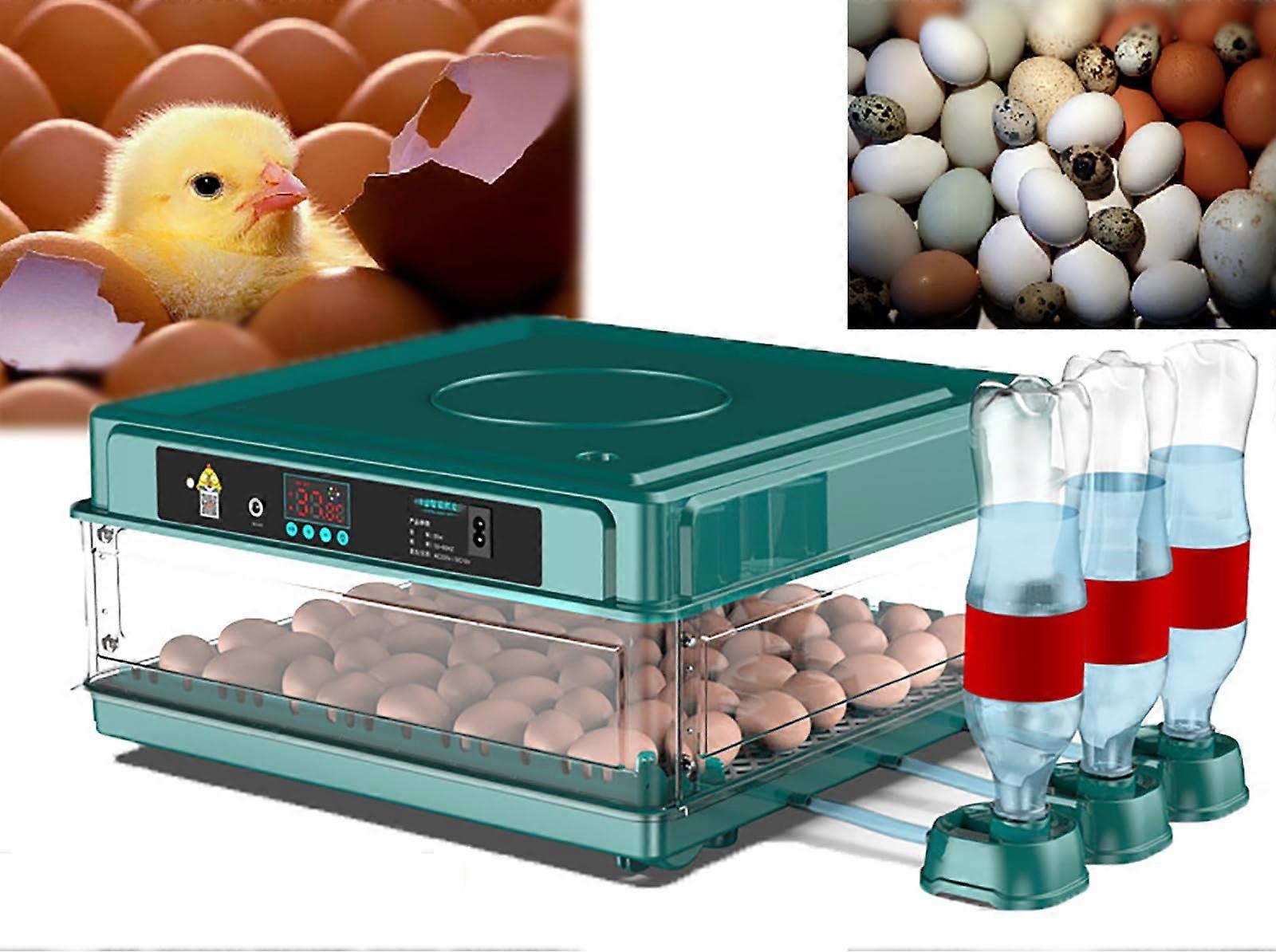 Automatic Egg Incubator 64 Egg Capacity with Humidity Control and Auto Turner for Chicken Duck Quail