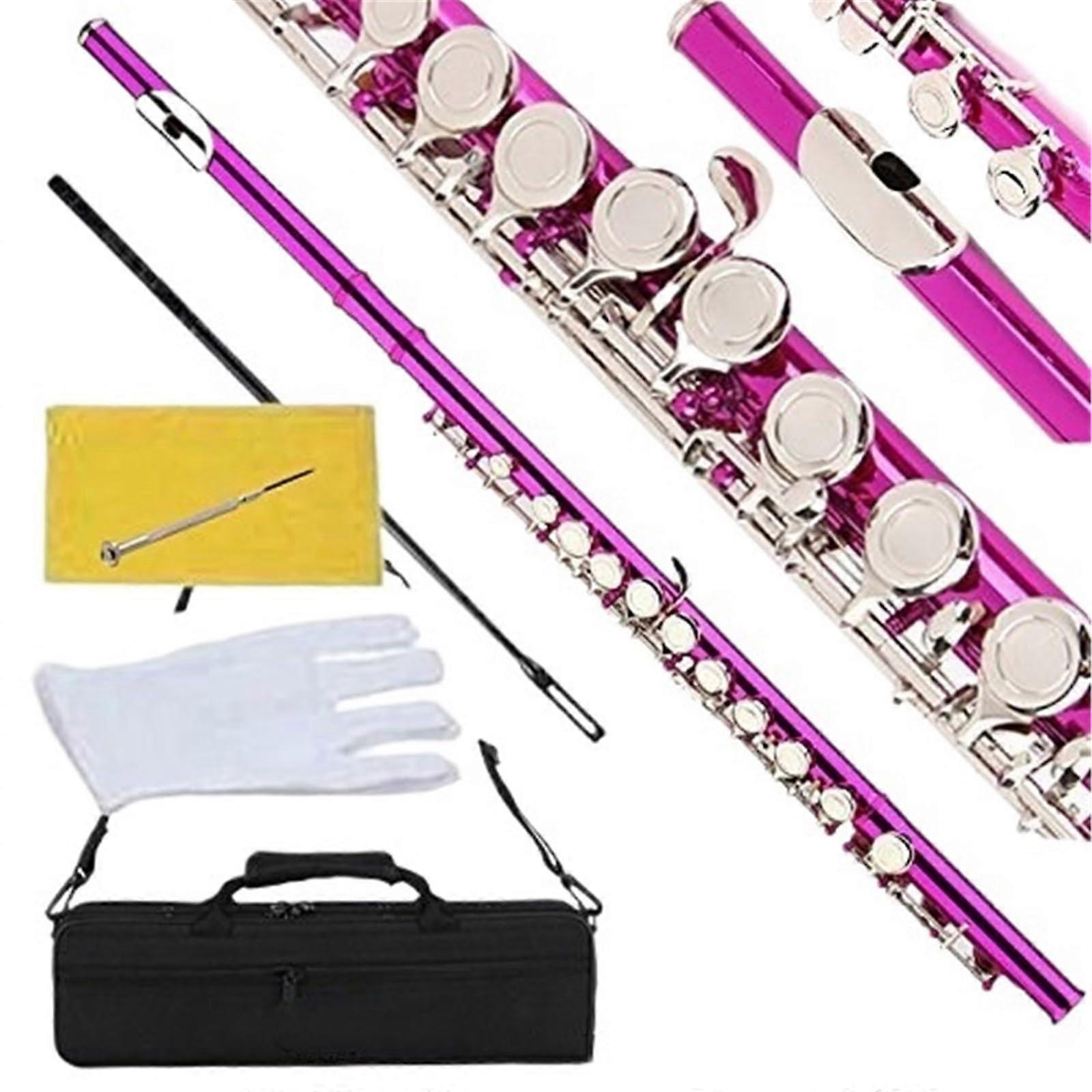 Pink Beginner Flute with Case, Nickel Key Closed Hole, Easy Playability and Warm Tone