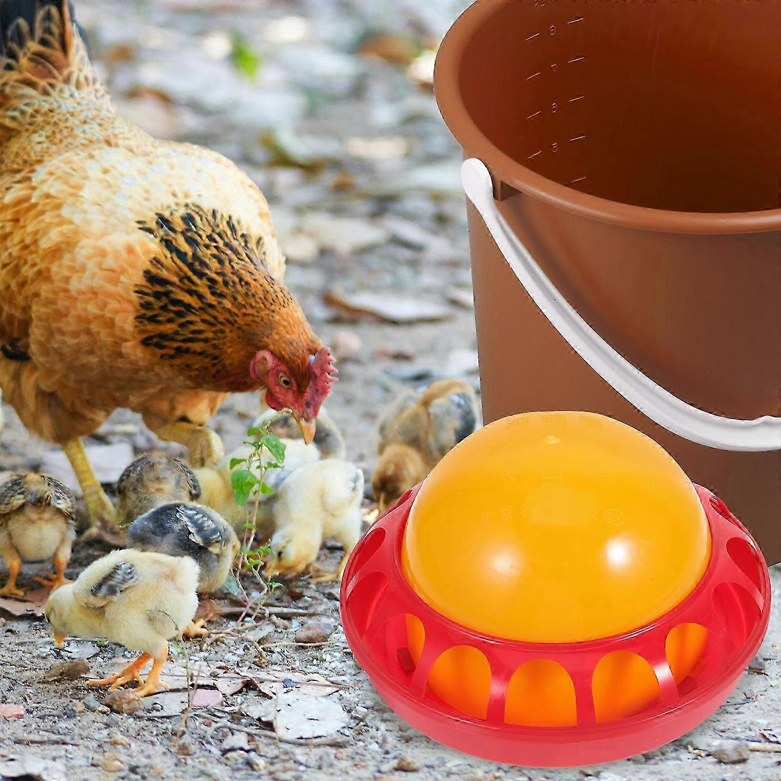 Plastic Automatic Waterer for Poultry Chick Feeding Device