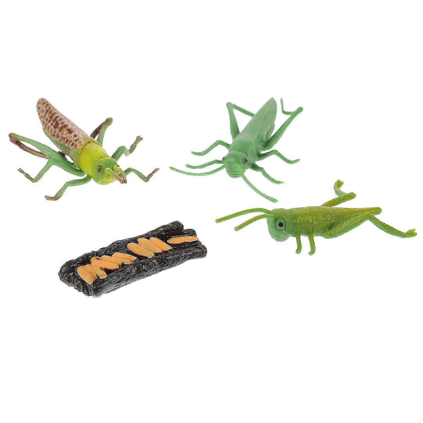 Plastic Grasshopper Cognitive Models Educational Growth Cycle Toy 1Set