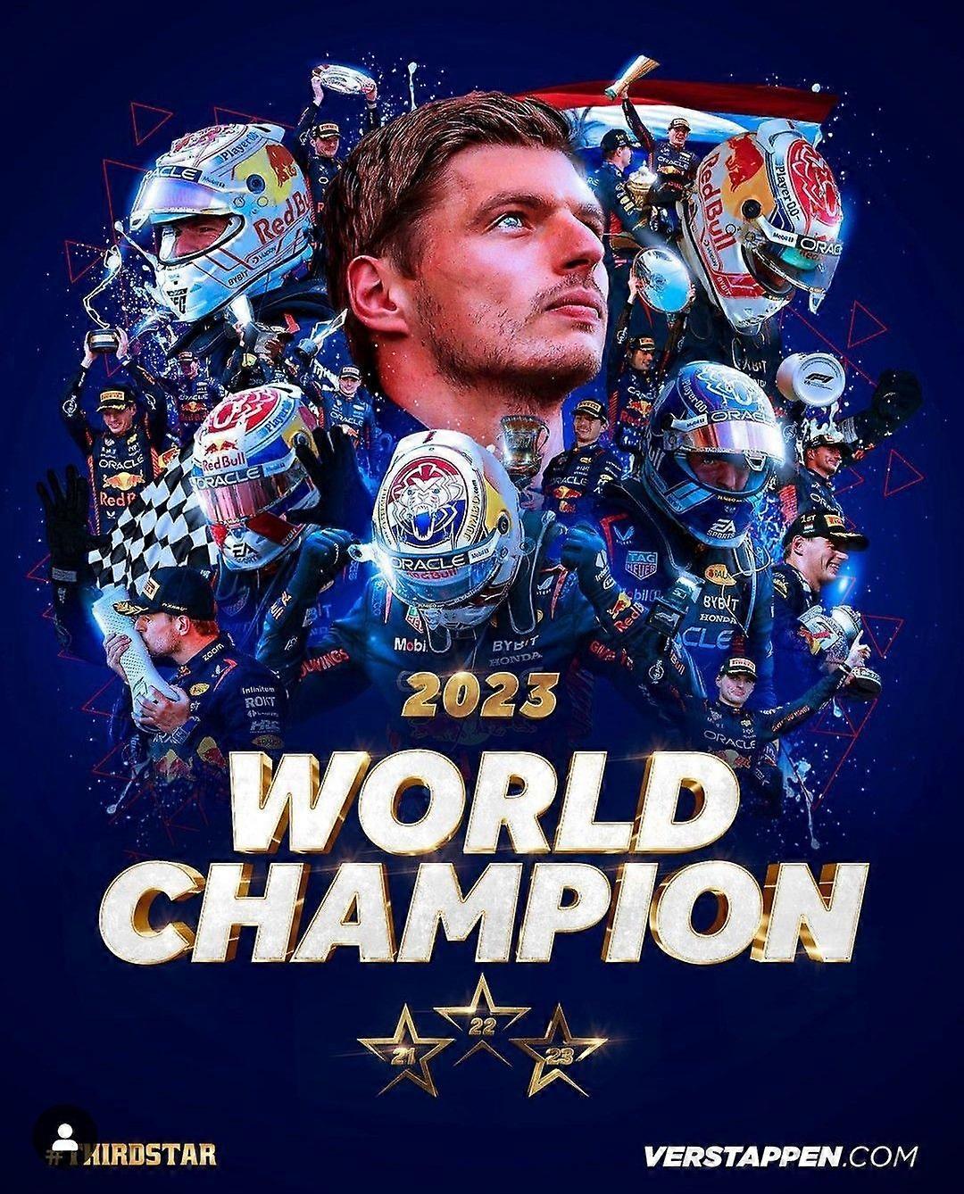 Max verstappen Immersive Jigsaw Puzzles DS-256