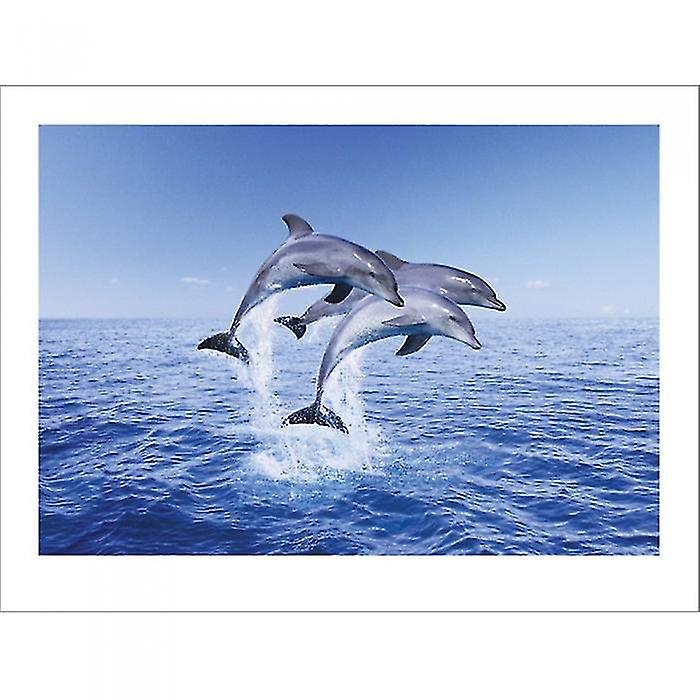 Pyramid International Dolphin Trio Print