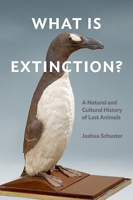What Is Extinction by Joshua Schuster Paperback Book