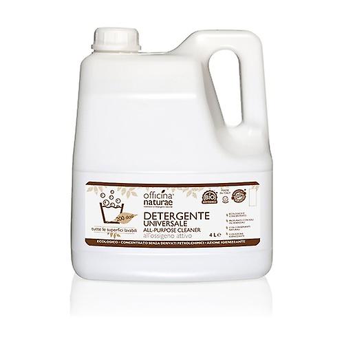 Universal cleaner for all surfaces 4 L