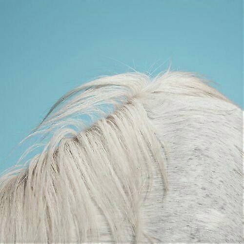 Widowspeak All Yours CD (2015)