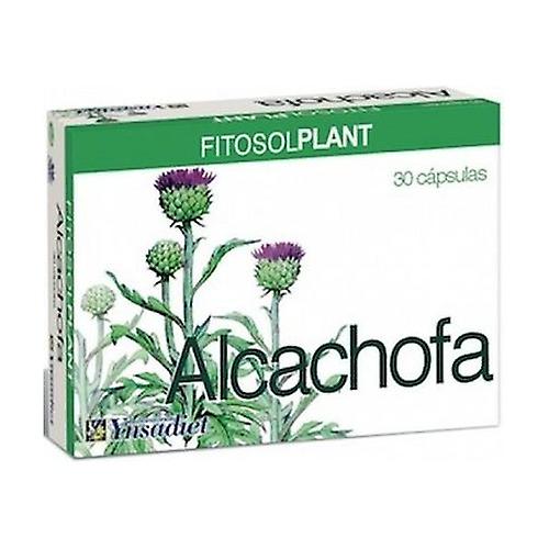 Artichoke 80 tablets