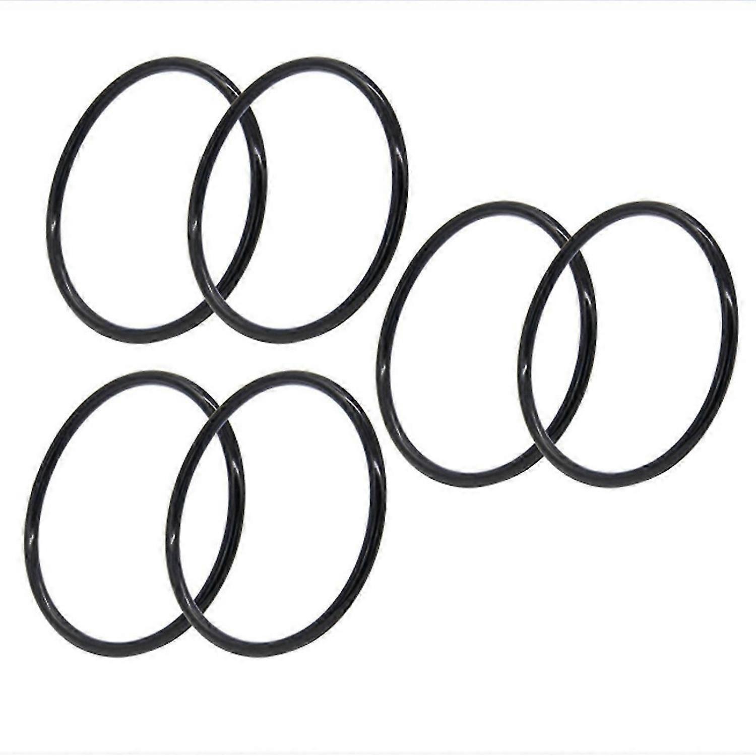 R172009 O-Ring for Pentair Model 300/320 Pool and Spa Chlorinator Lid